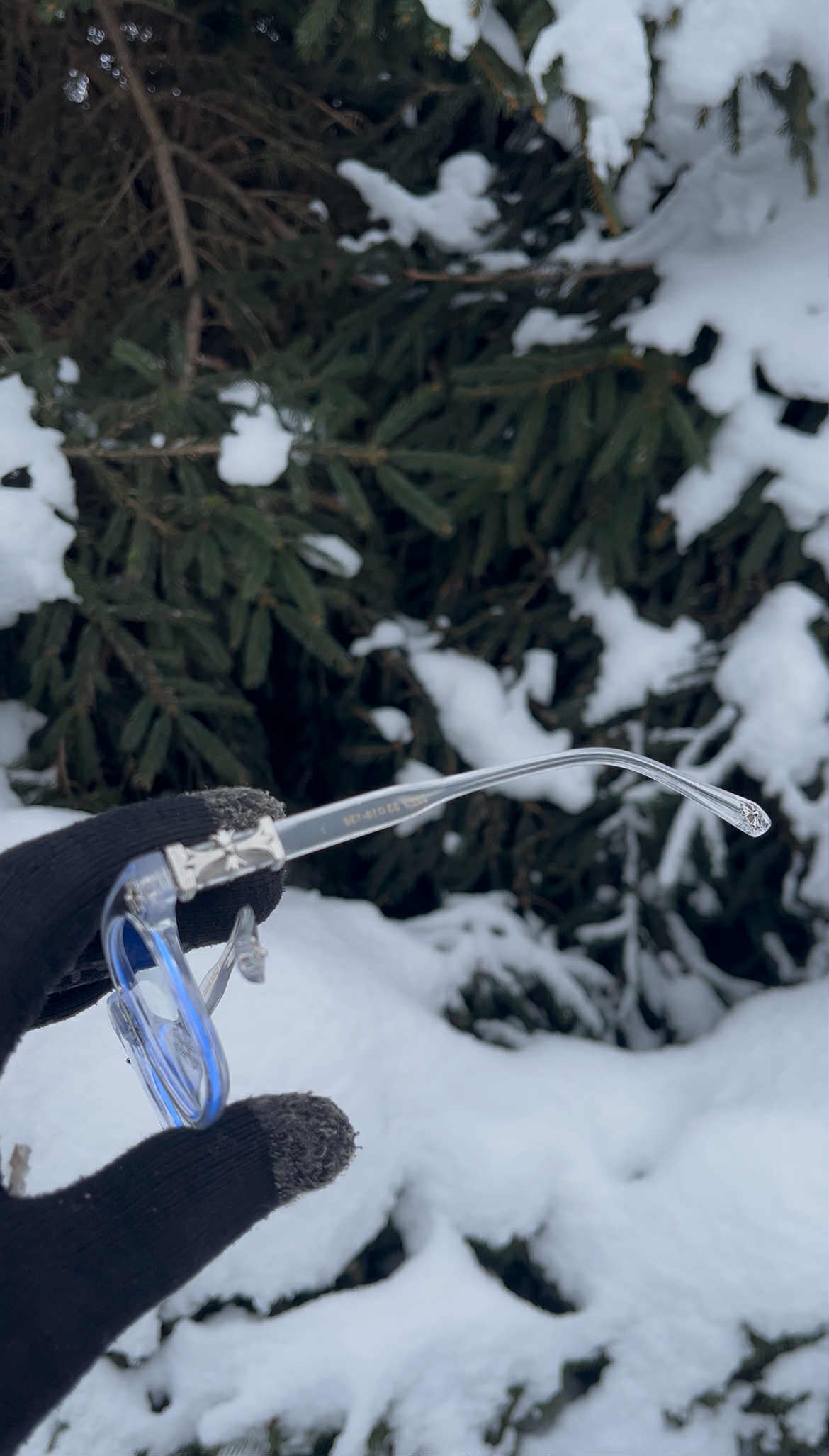 Transparent/Silver Glasses